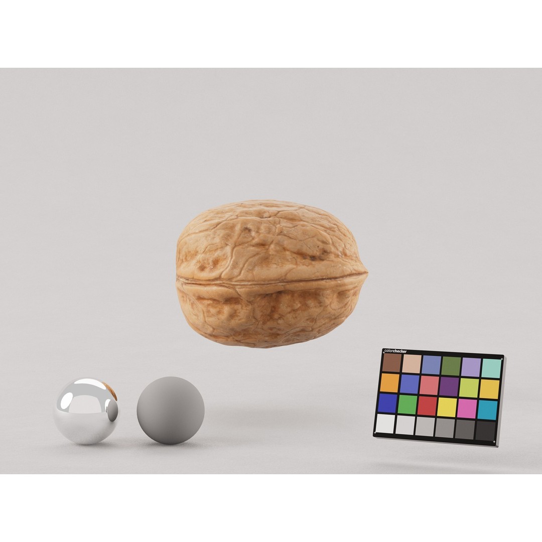 Realistic Walnut 3D Model – PBR Textured, Game-Ready Formats - View 4