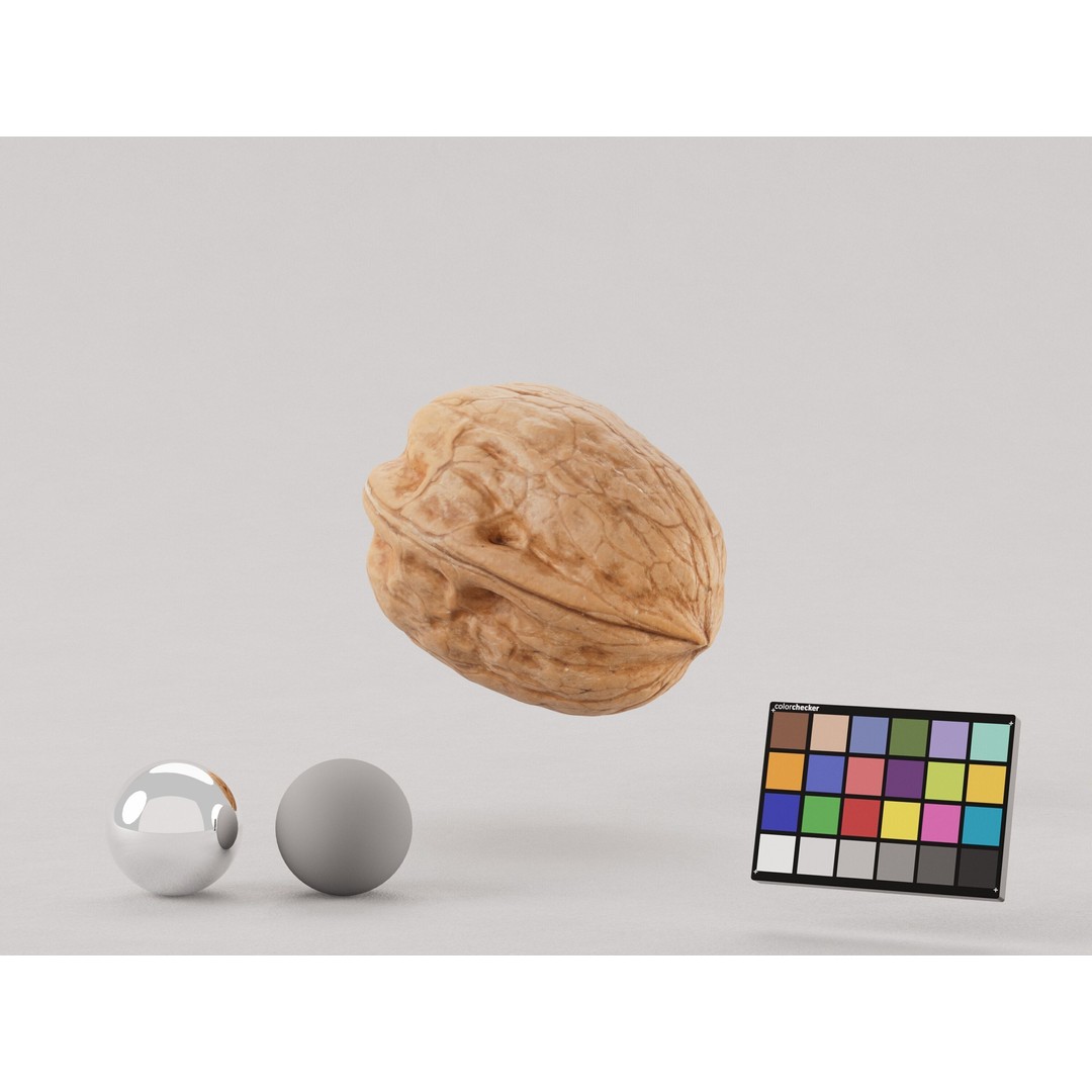 Realistic Walnut 3D Model – PBR Textured, Game-Ready Formats - View 5