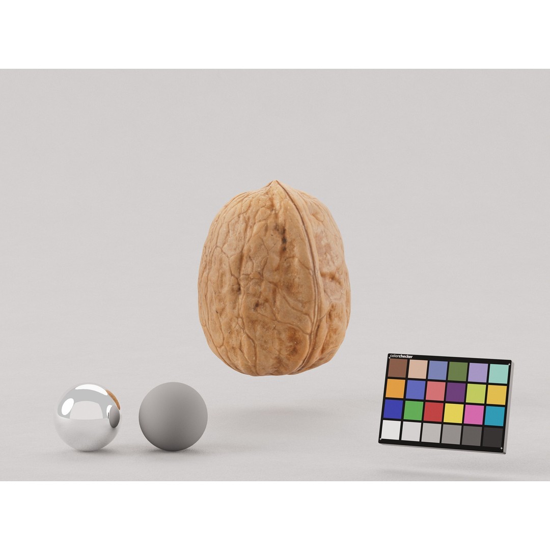 Realistic Walnut 3D Model – PBR Textured, Game-Ready Formats - View 6