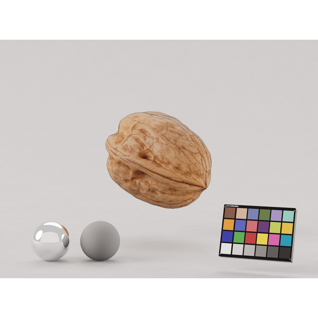 Realistic Walnut 3D Model – PBR Textured, Game-Ready Formats - View 7