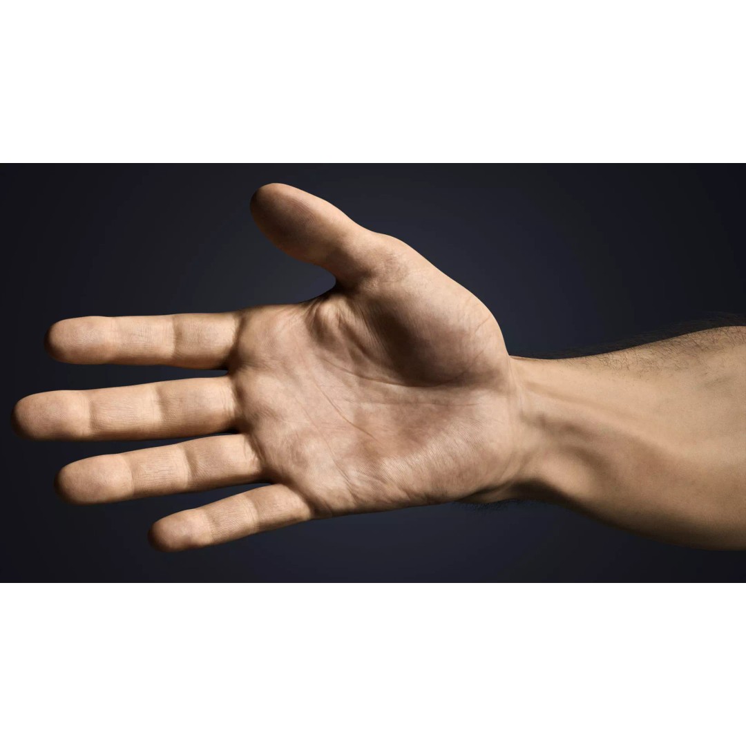 Realistic Male Hands 3D Model – Low Poly Rigged Asset for Blender - View 10