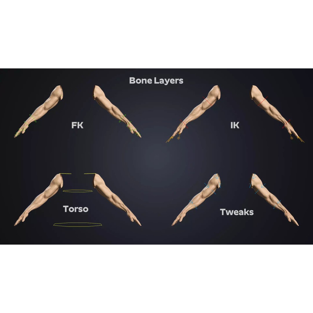 Realistic Male Hands 3D Model – Low Poly Rigged Asset for Blender - View 12