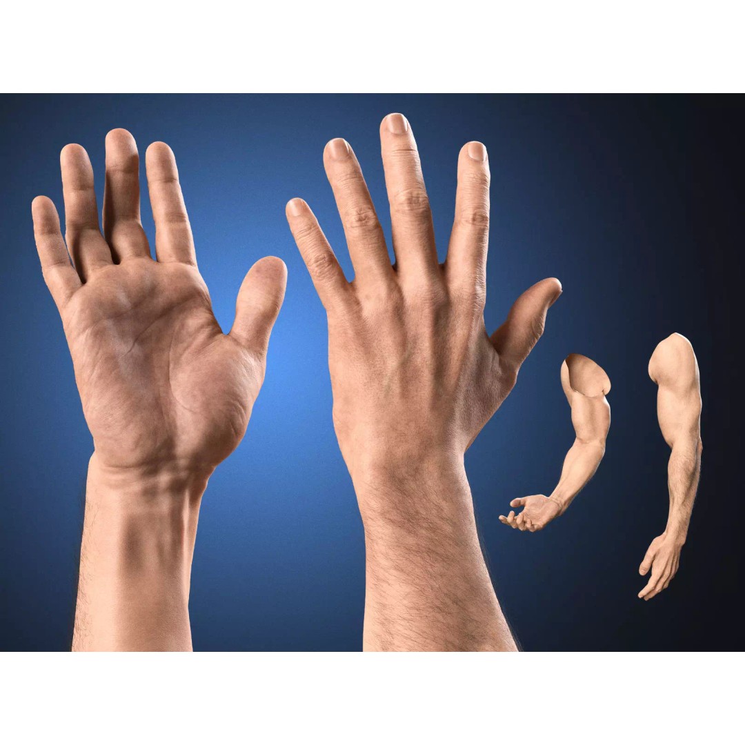 Realistic Male Hands 3D Model – Low Poly Rigged Asset for Blender - View 2