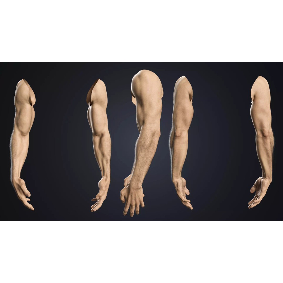 Realistic Male Hands 3D Model – Low Poly Rigged Asset for Blender - View 3