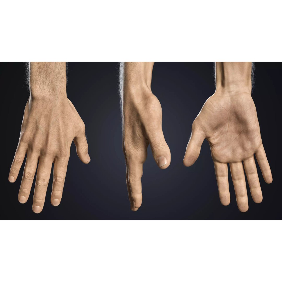Realistic Male Hands 3D Model – Low Poly Rigged Asset for Blender - View 4