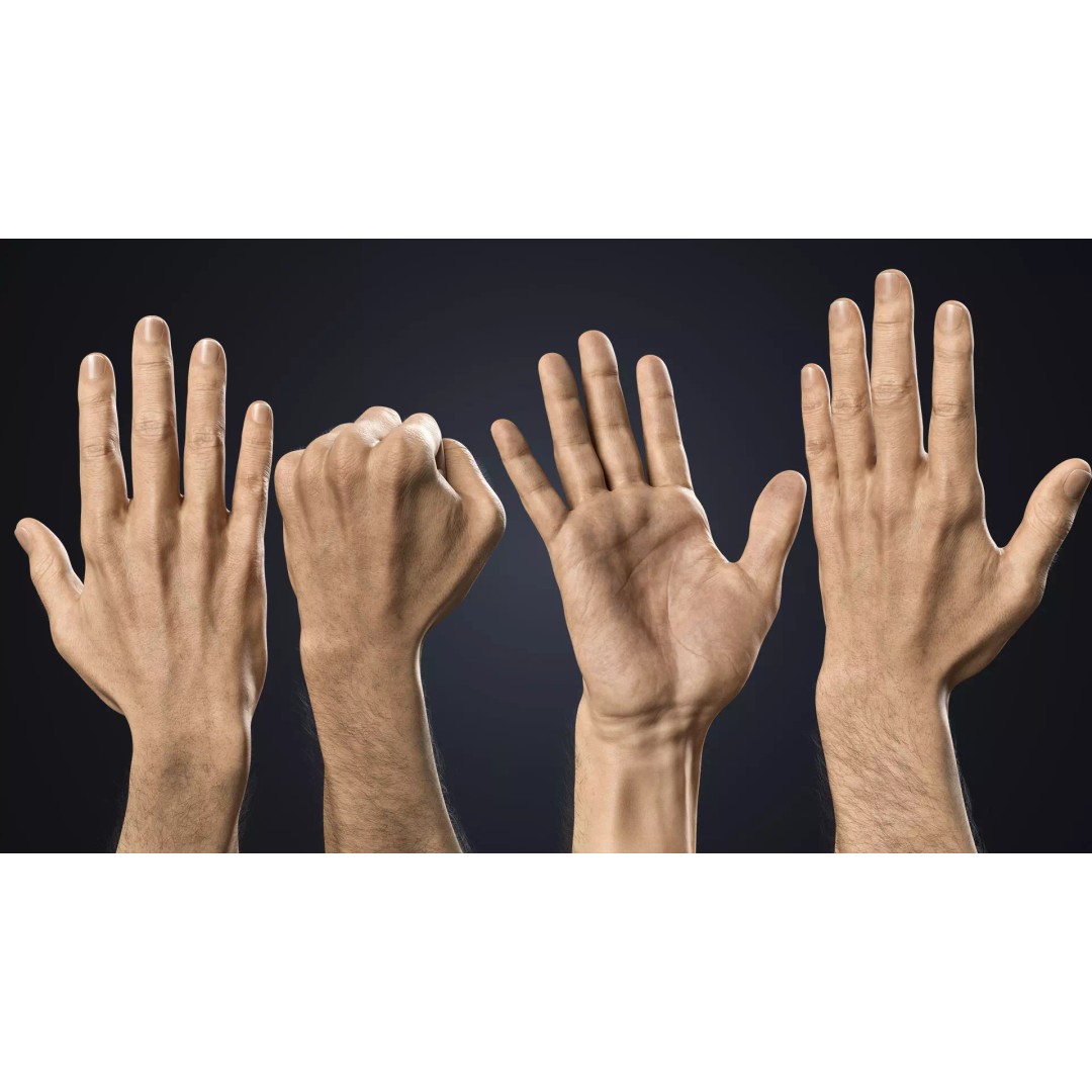 Realistic Male Hands 3D Model – Low Poly Rigged Asset for Blender - View 5