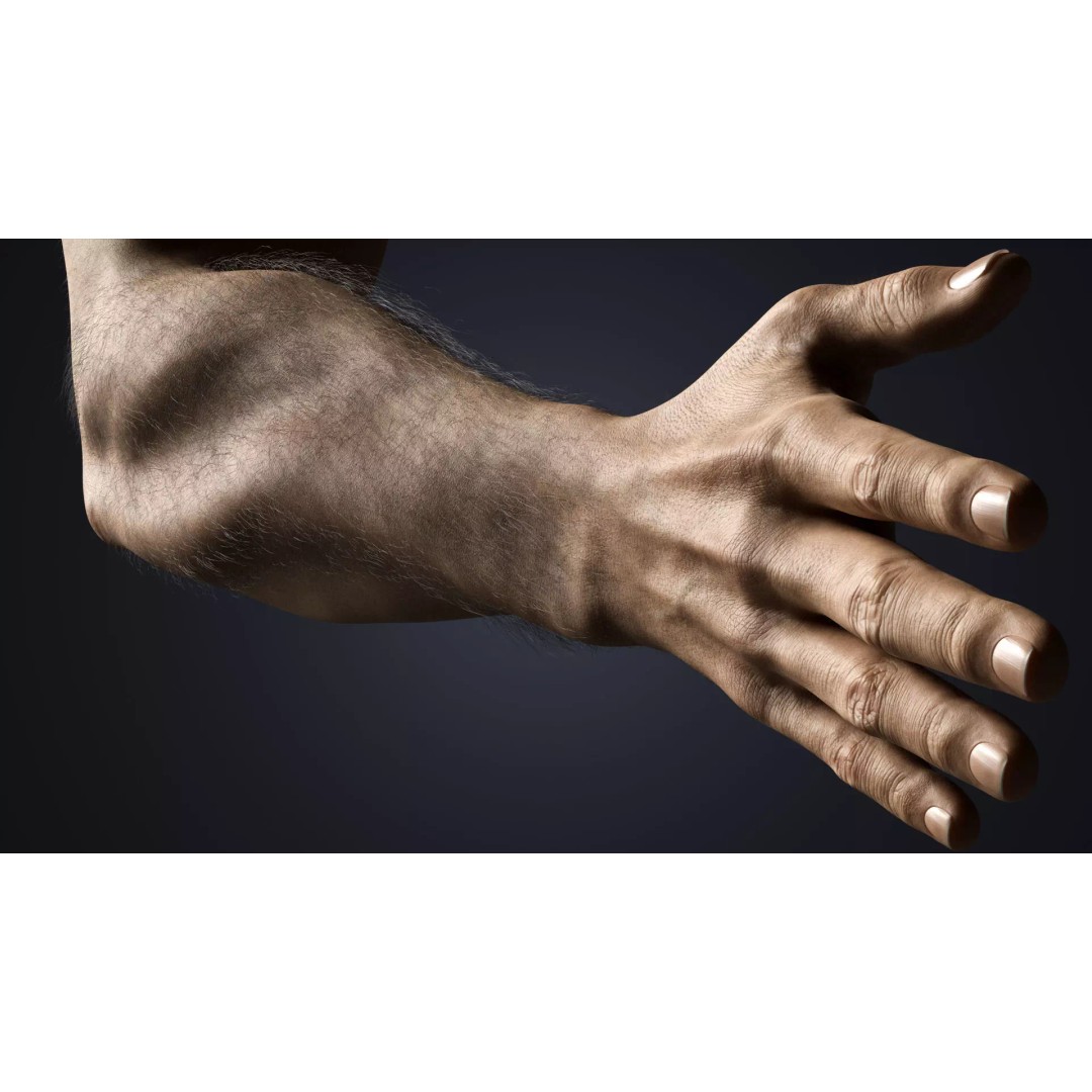 Realistic Male Hands 3D Model – Low Poly Rigged Asset for Blender - View 6