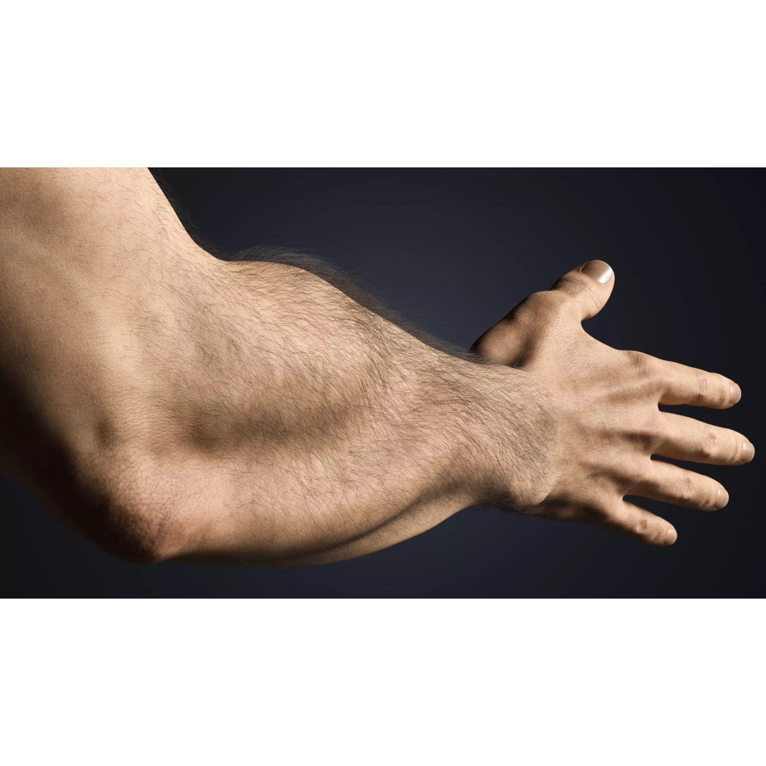 Realistic Male Hands 3D Model – Low Poly Rigged Asset for Blender - View 7