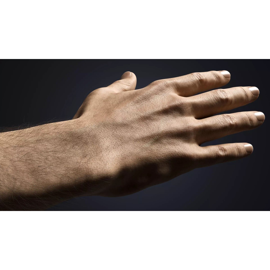 Realistic Male Hands 3D Model – Low Poly Rigged Asset for Blender - View 8