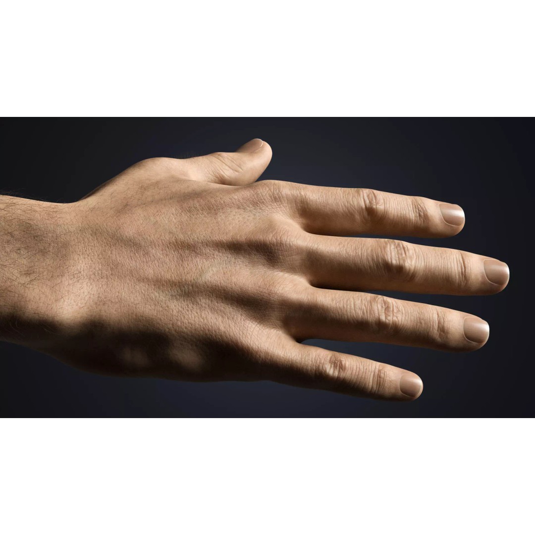 Realistic Male Hands 3D Model – Low Poly Rigged Asset for Blender - View 9