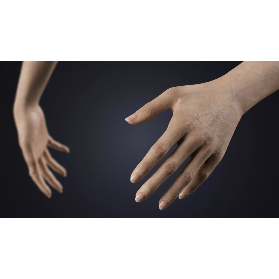 Realistic Female Hands 3D Model – Low Poly Rigged Asset for Blender - View 10