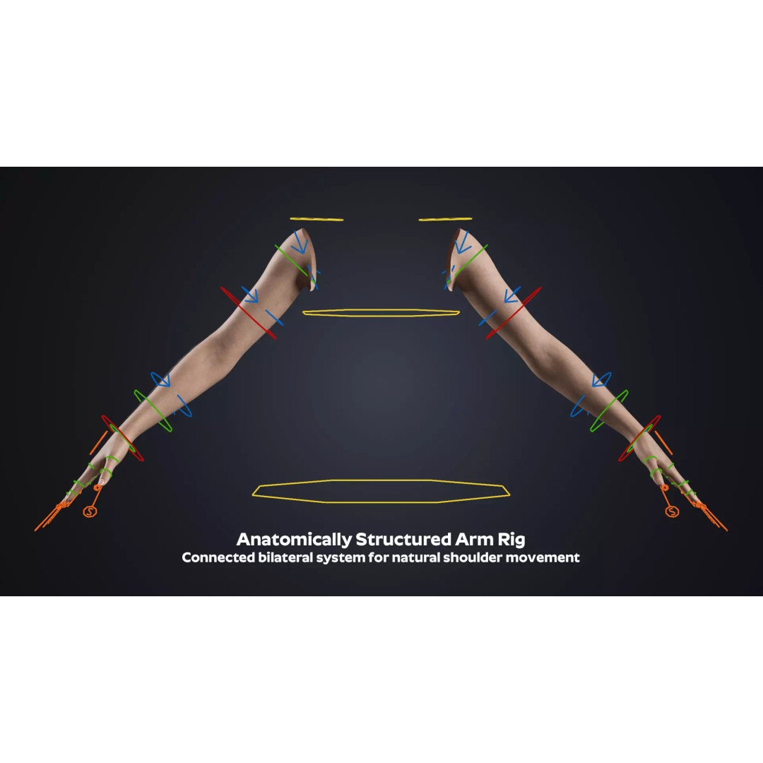 Realistic Female Hands 3D Model – Low Poly Rigged Asset for Blender - View 11