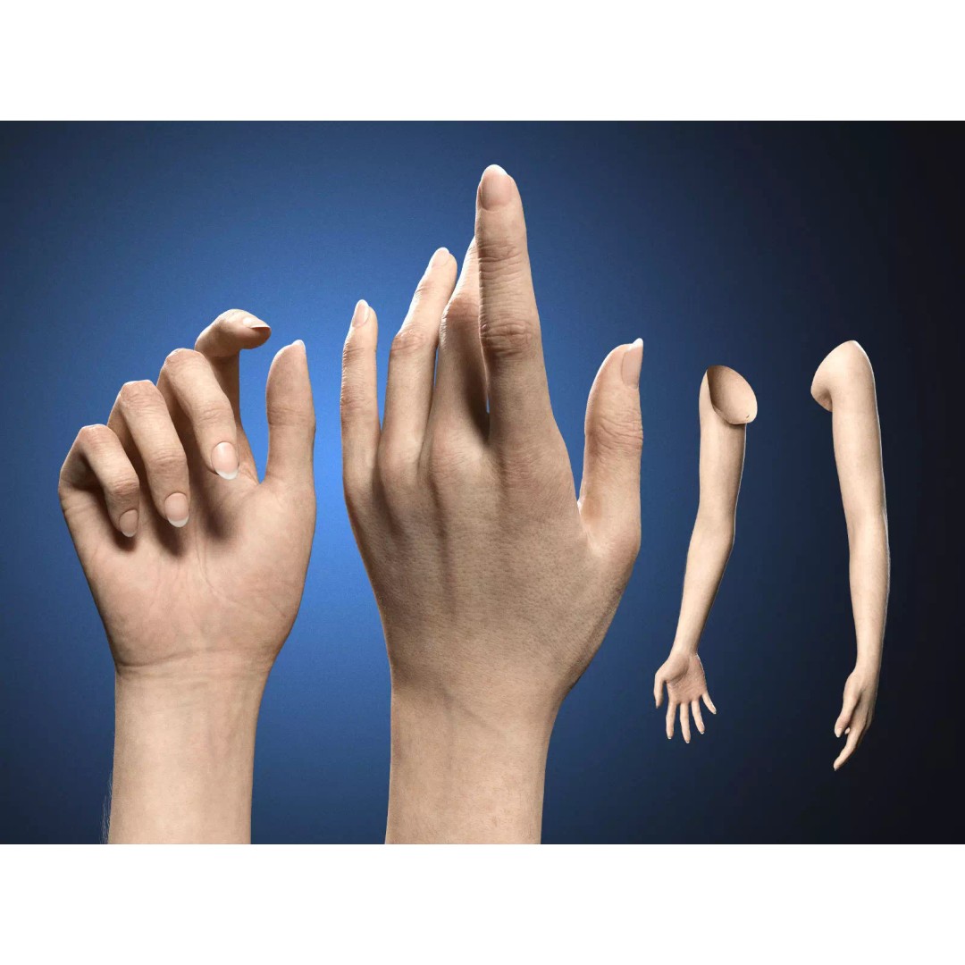 Realistic Female Hands 3D Model – Low Poly Rigged Asset for Blender - View 2