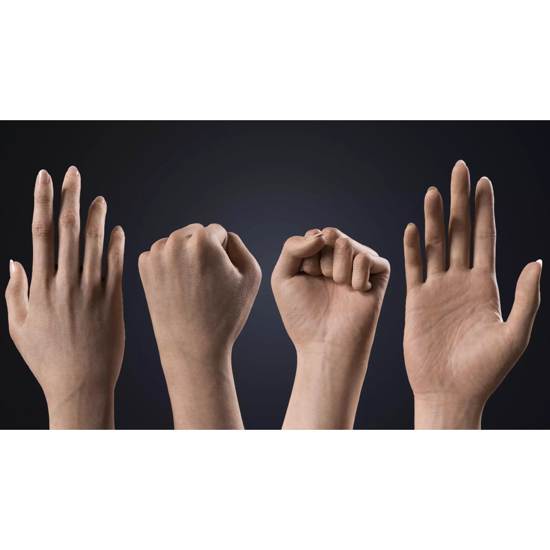 Realistic Female Hands 3D Model – Low Poly Rigged Asset for Blender - View 5
