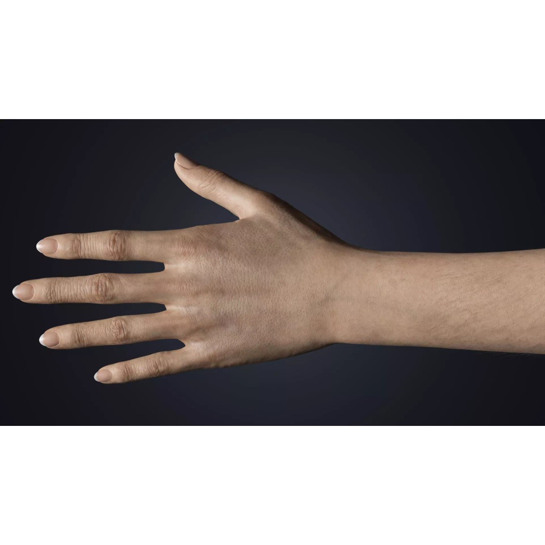 Realistic Female Hands 3D Model – Low Poly Rigged Asset for Blender - View 8