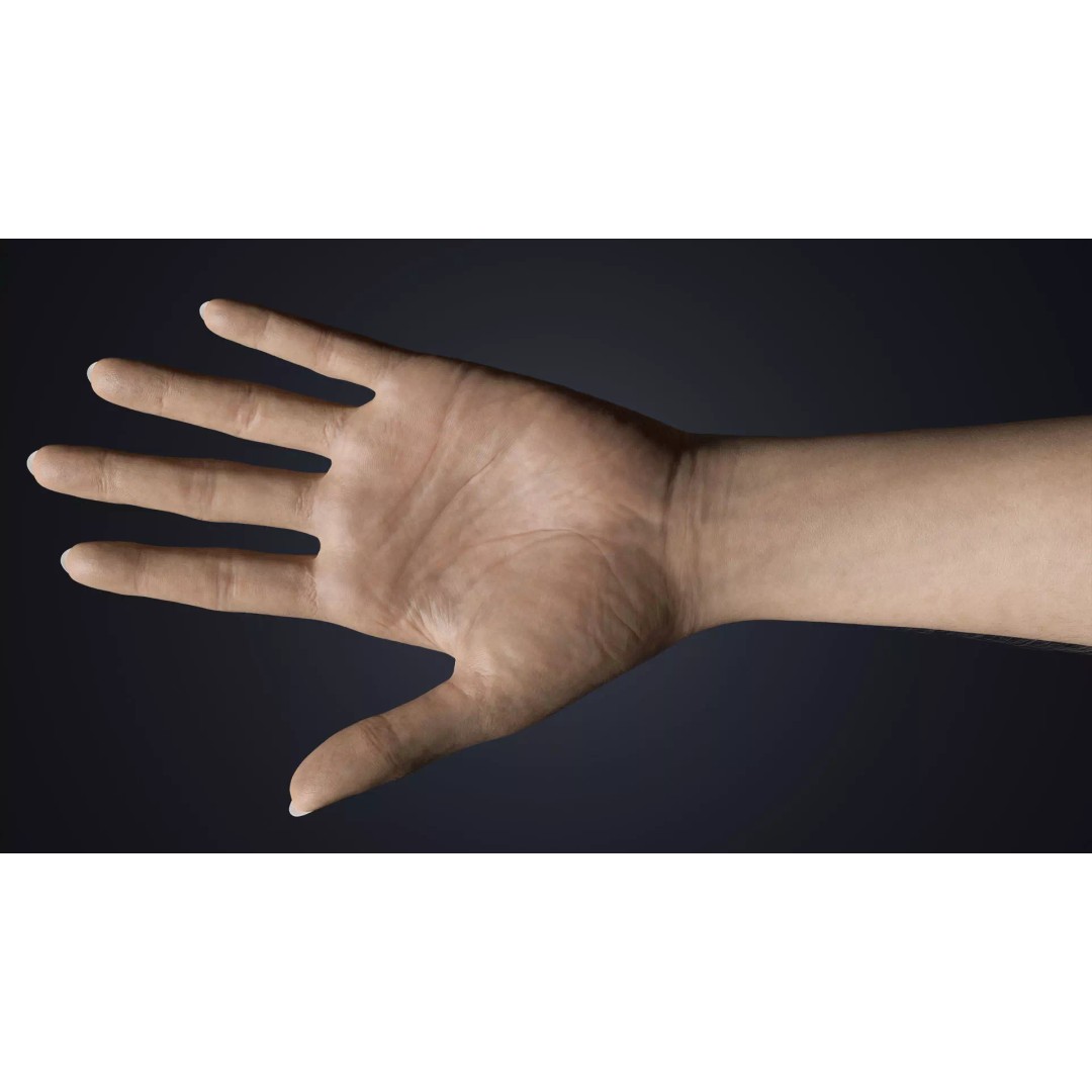 Realistic Female Hands 3D Model – Low Poly Rigged Asset for Blender - View 9