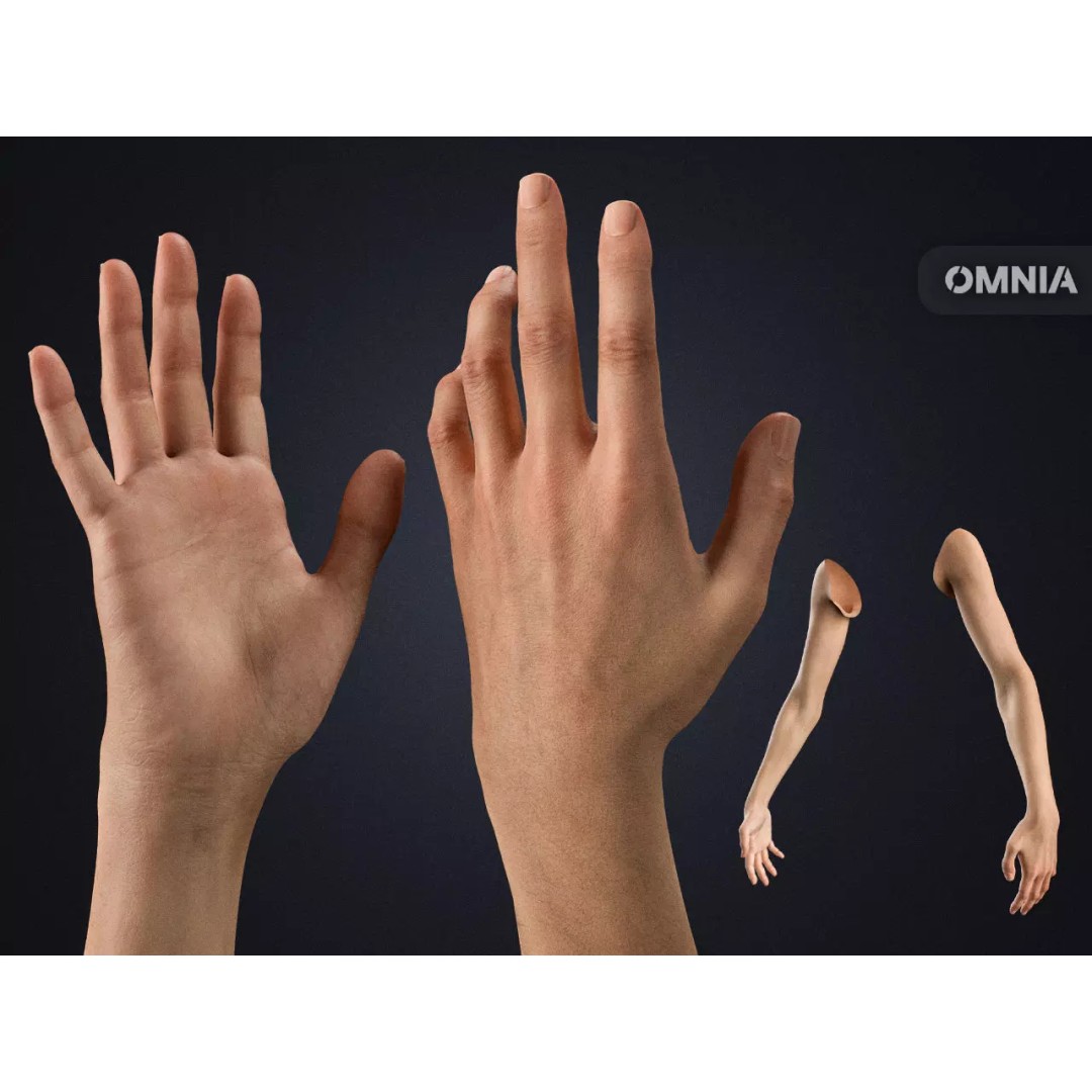 Realistic Neutral Arms 3D Model – Cinematic Rigged Asset for Blender - View 2