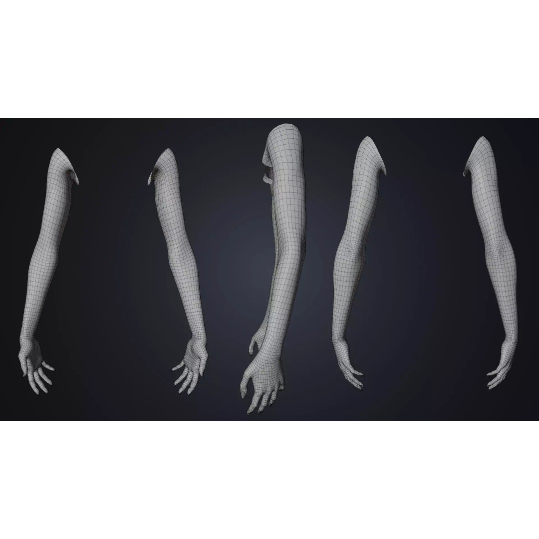 Realistic Female Arms 3D Model – Cinematic Edition, Rigged for Blender - View 10