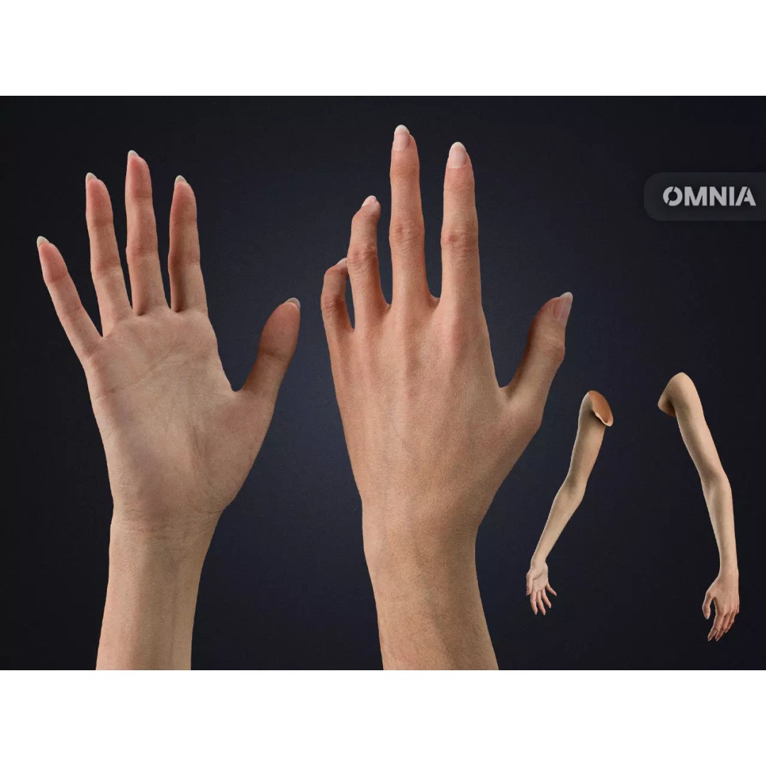 Realistic Female Arms 3D Model – Cinematic Edition, Rigged for Blender - View 2