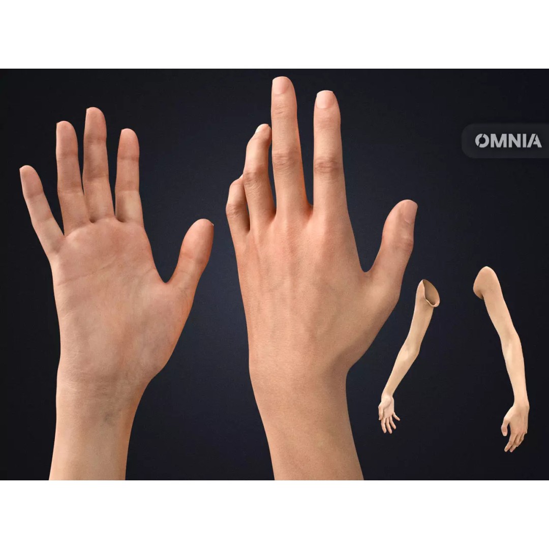 Realistic Neutral Arms 3D Model – Low Poly Rigged for Animation, Blender - View 2