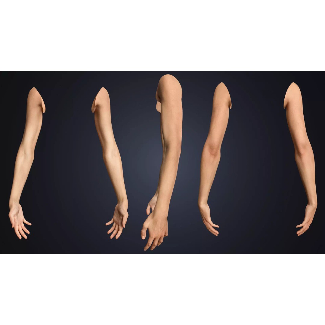 Realistic Neutral Arms 3D Model – Low Poly Rigged for Animation, Blender - View 3