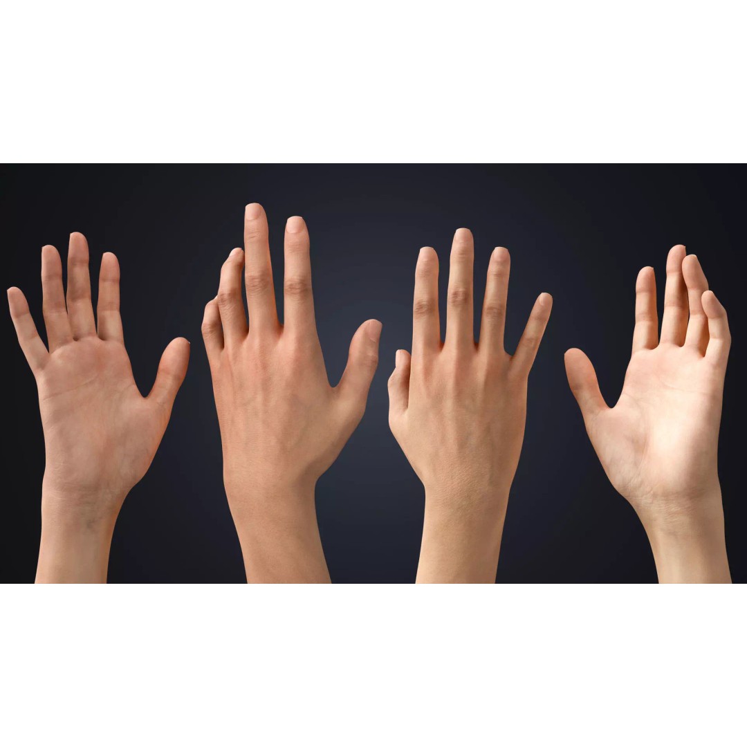 Realistic Neutral Arms 3D Model – Low Poly Rigged for Animation, Blender - View 4