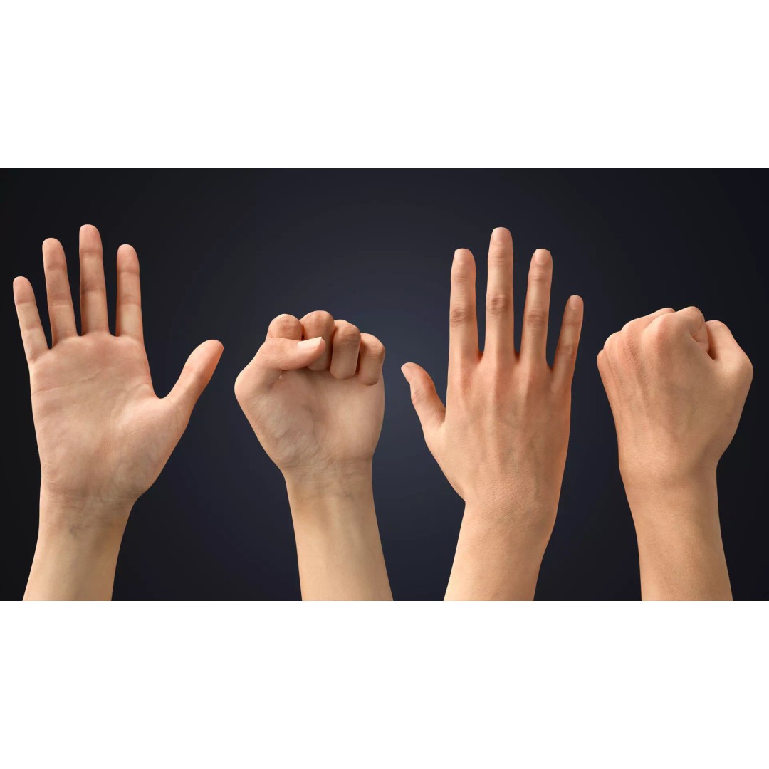 Realistic Neutral Arms 3D Model – Low Poly Rigged for Animation, Blender - View 5