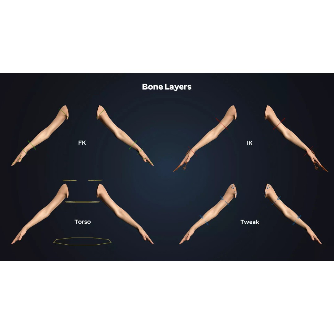 Realistic Neutral Arms 3D Model – Low Poly Rigged for Animation, Blender - View 7