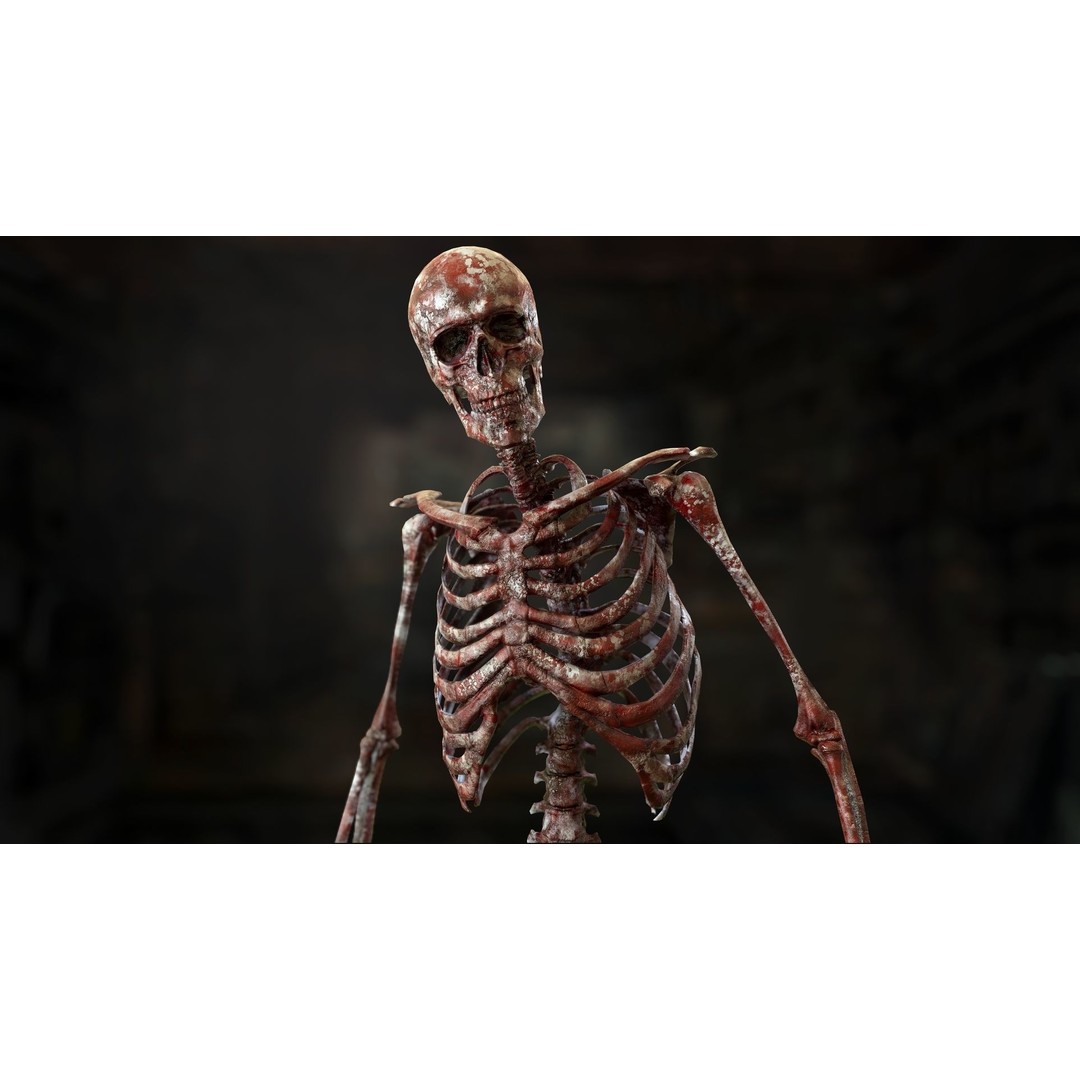 Rigged Human Skeleton 3D Model – Low Poly, PBR Textures, FBX - View 11