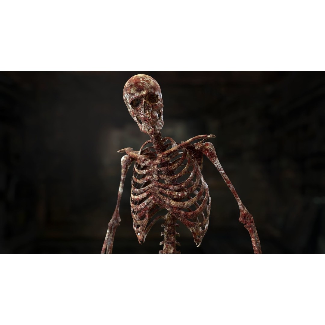 Rigged Human Skeleton 3D Model – Low Poly, PBR Textures, FBX - View 13