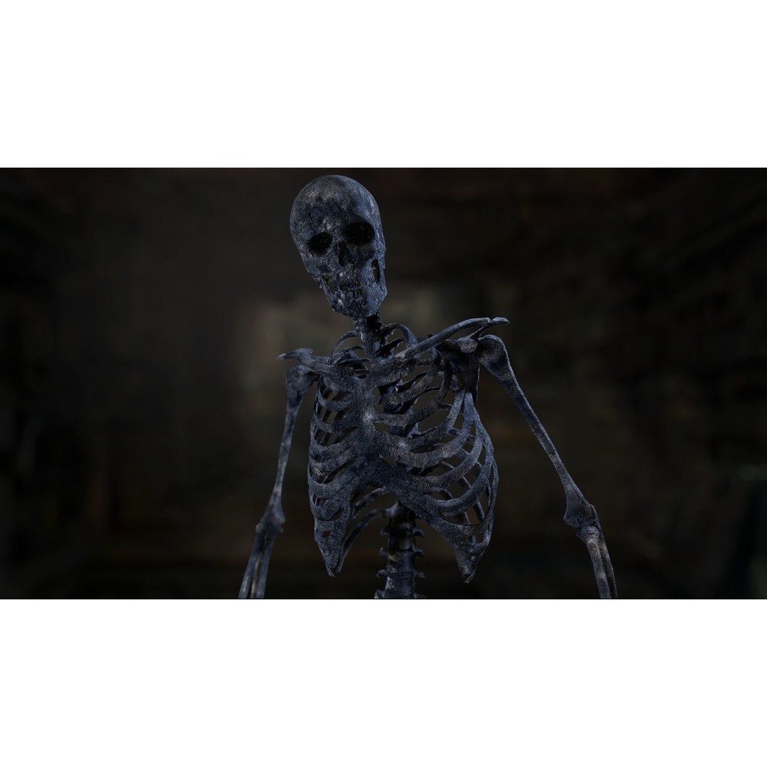 Rigged Human Skeleton 3D Model – Low Poly, PBR Textures, FBX - View 14