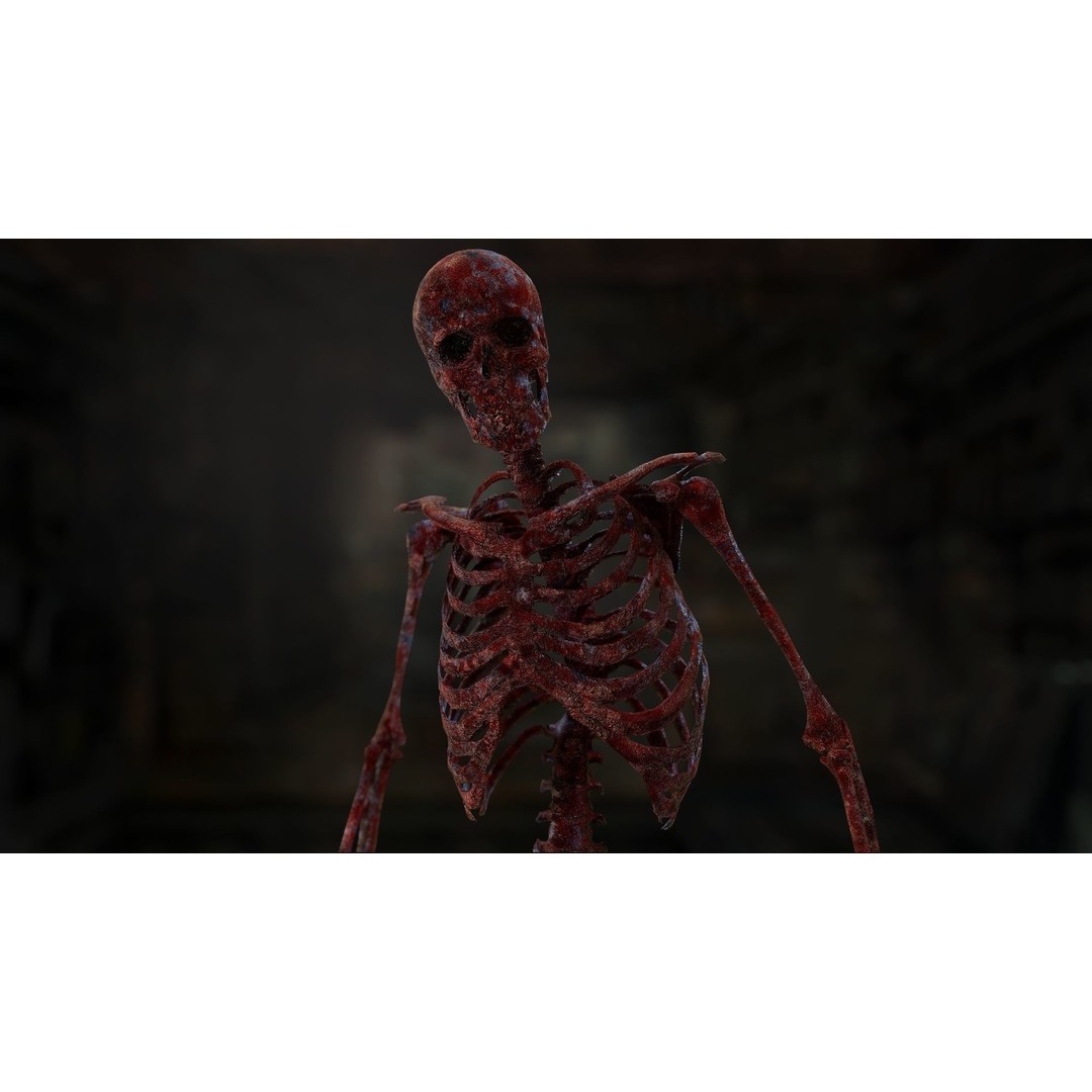 Rigged Human Skeleton 3D Model – Low Poly, PBR Textures, FBX - View 15
