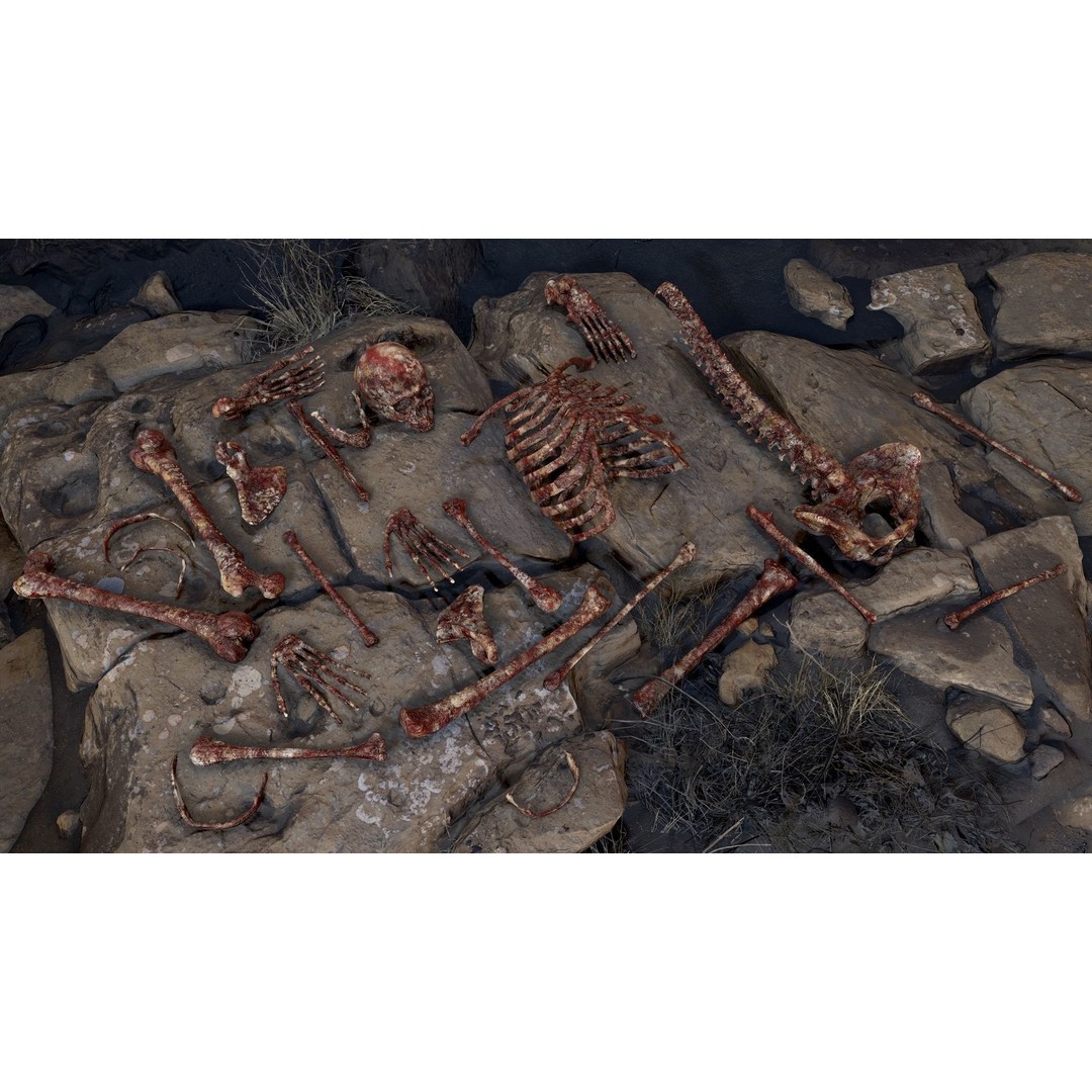Rigged Human Skeleton 3D Model – Low Poly, PBR Textures, FBX - View 19
