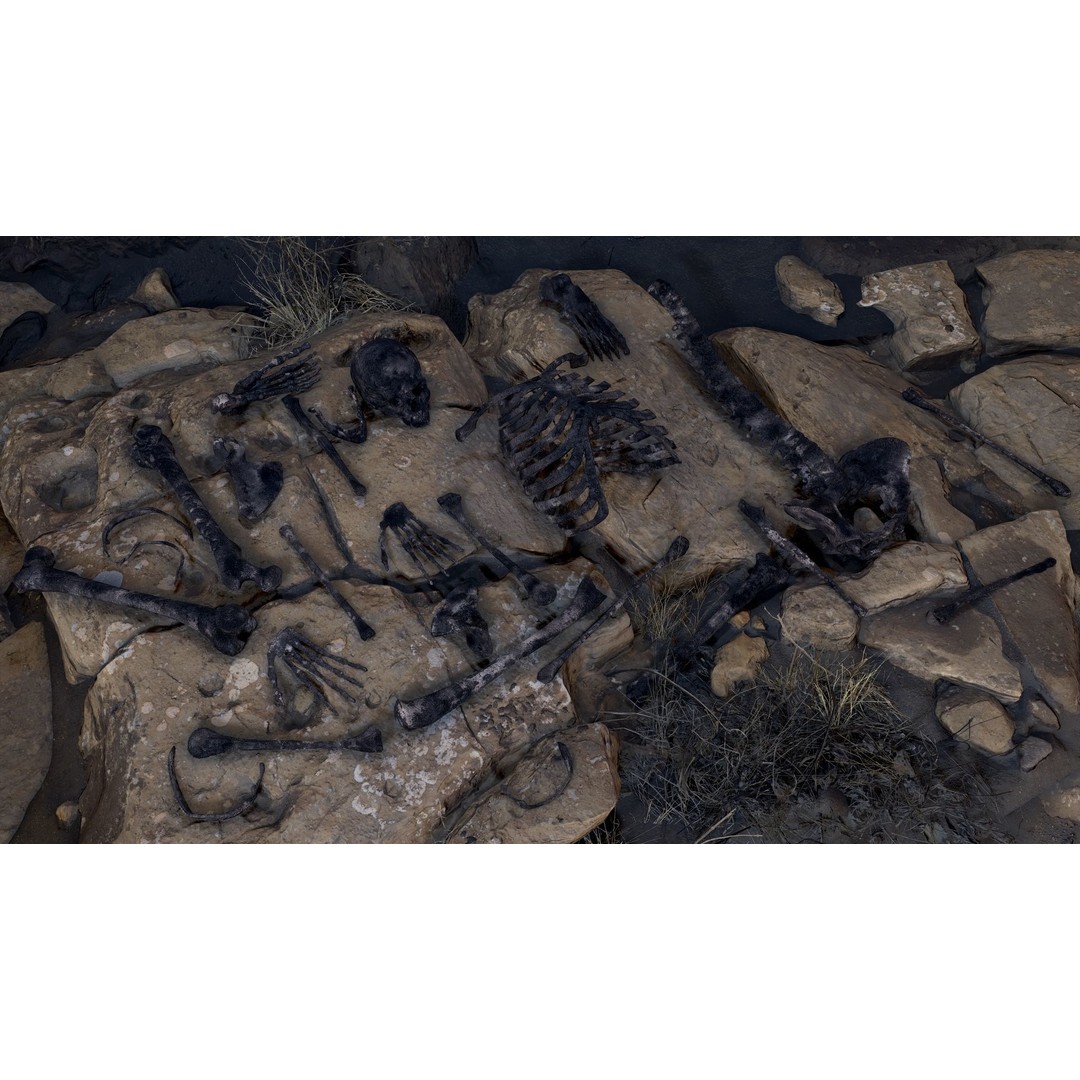 Rigged Human Skeleton 3D Model – Low Poly, PBR Textures, FBX - View 20