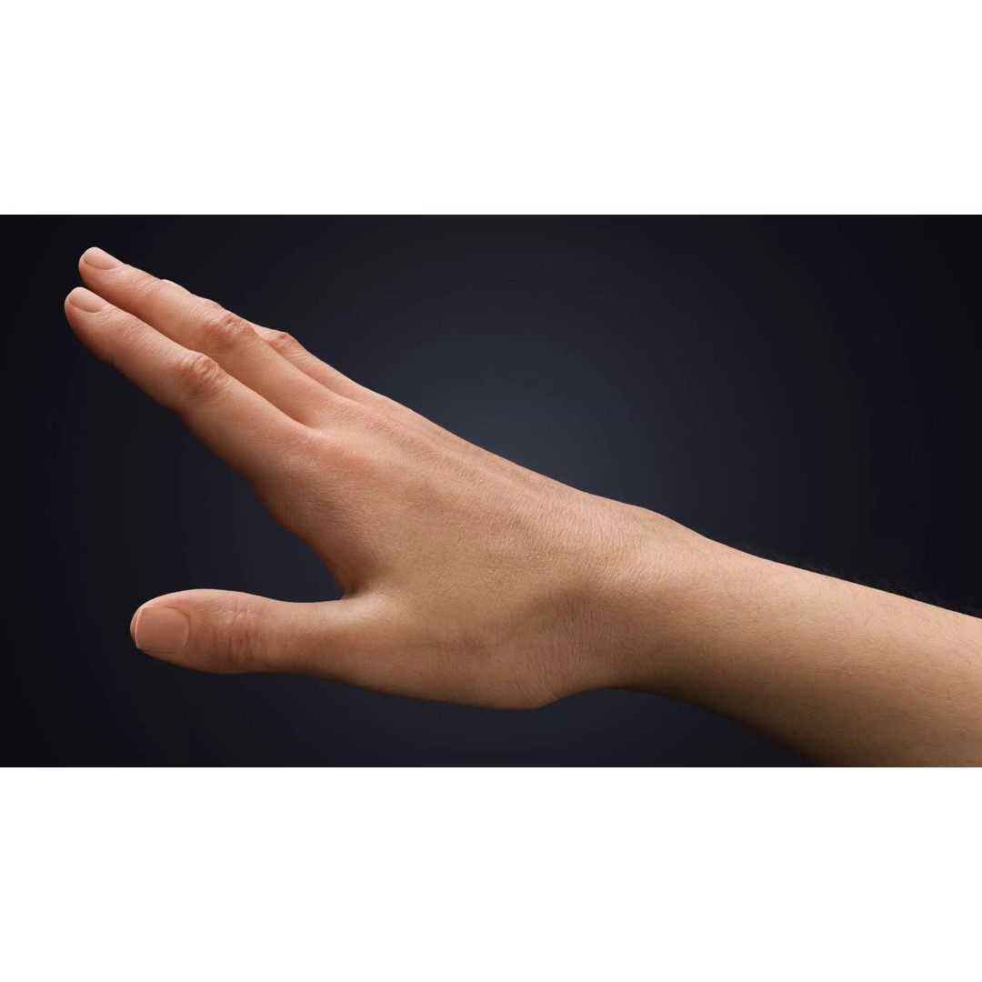 Realistic Neutral Arms 3D Model – Customizable Rigged Character Asset for Blender - View 6