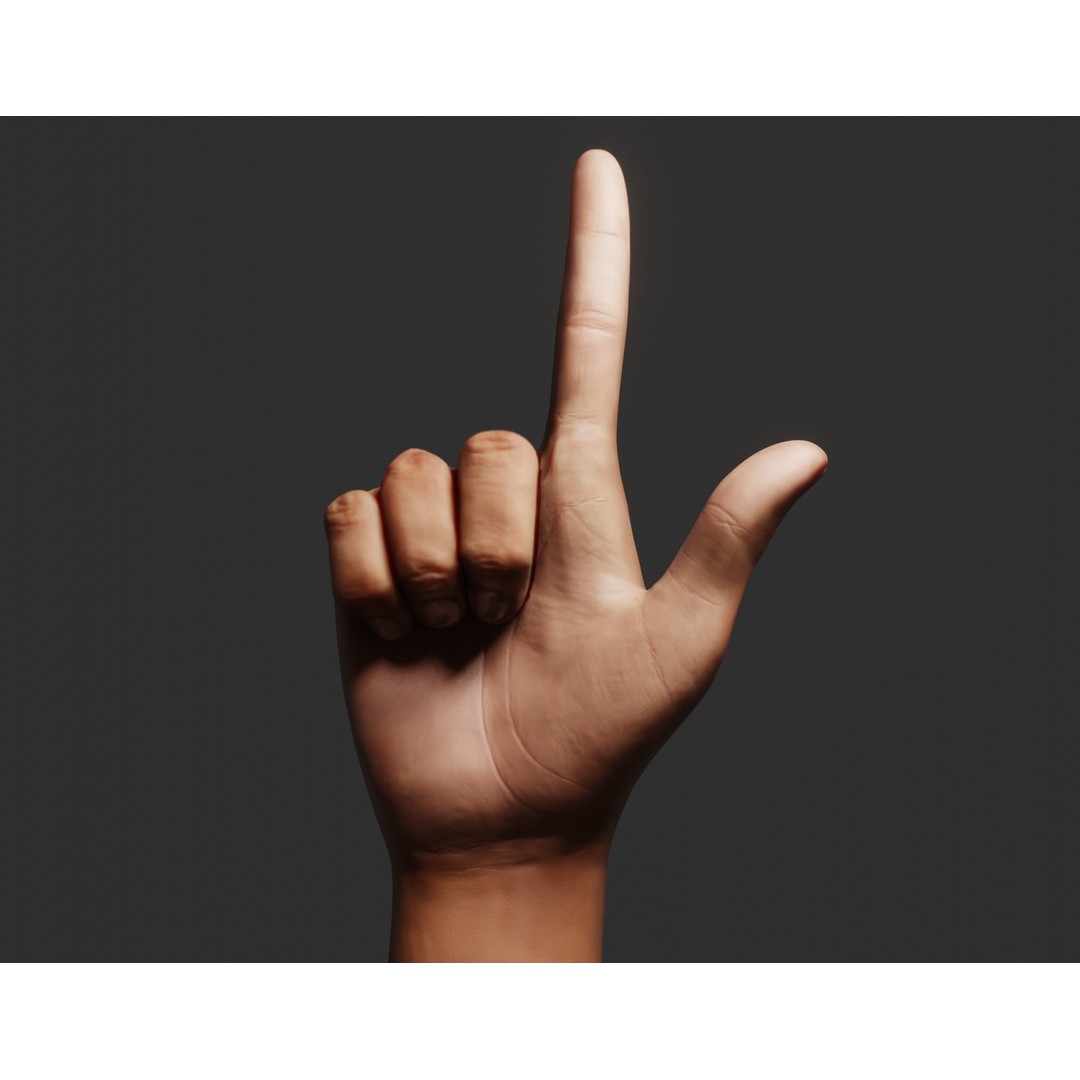 Female Right Hand 3D Model – Rigged Low-Poly Game Asset, Blender, FBX, OBJ - View 11