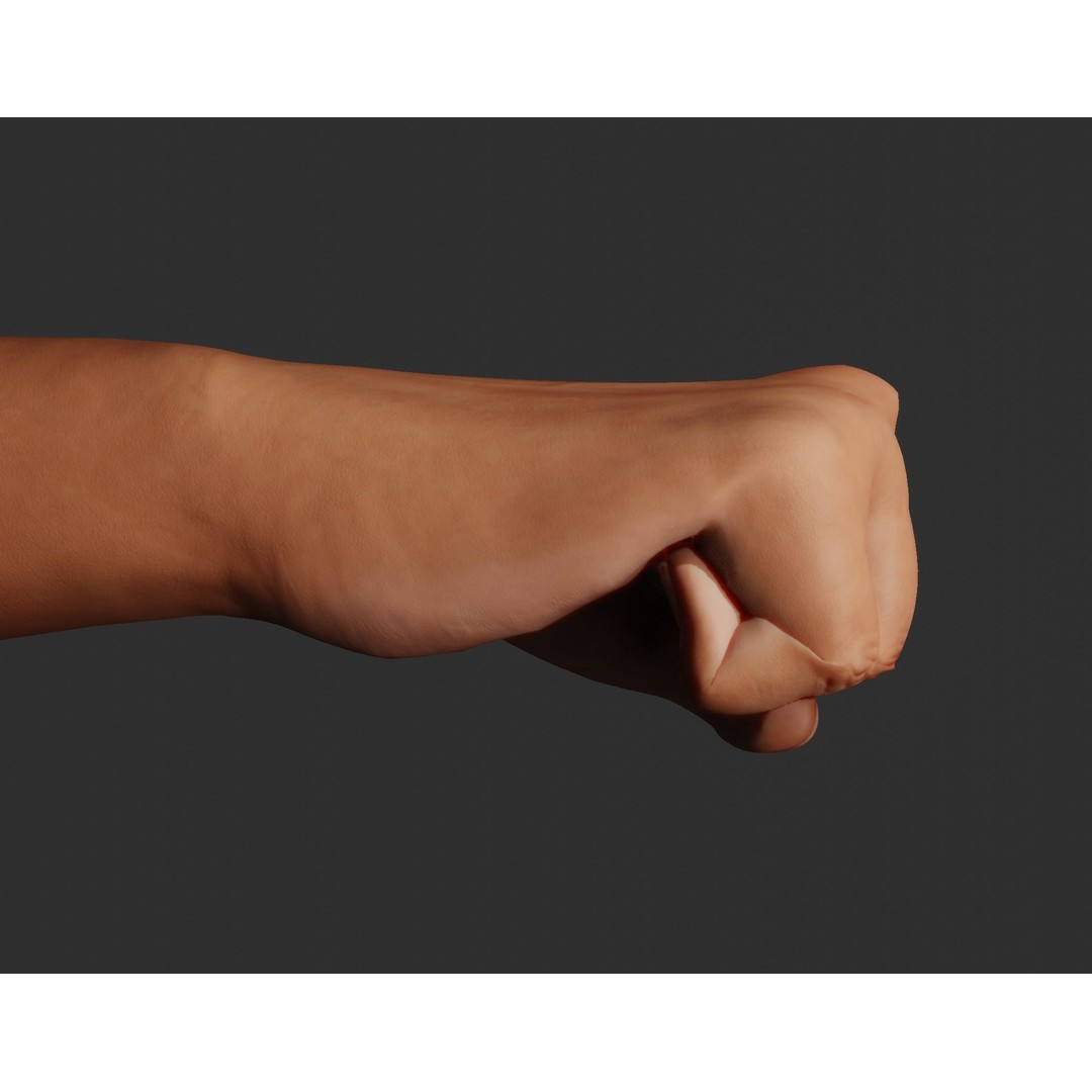 Female Right Hand 3D Model – Rigged Low-Poly Game Asset, Blender, FBX, OBJ - View 13