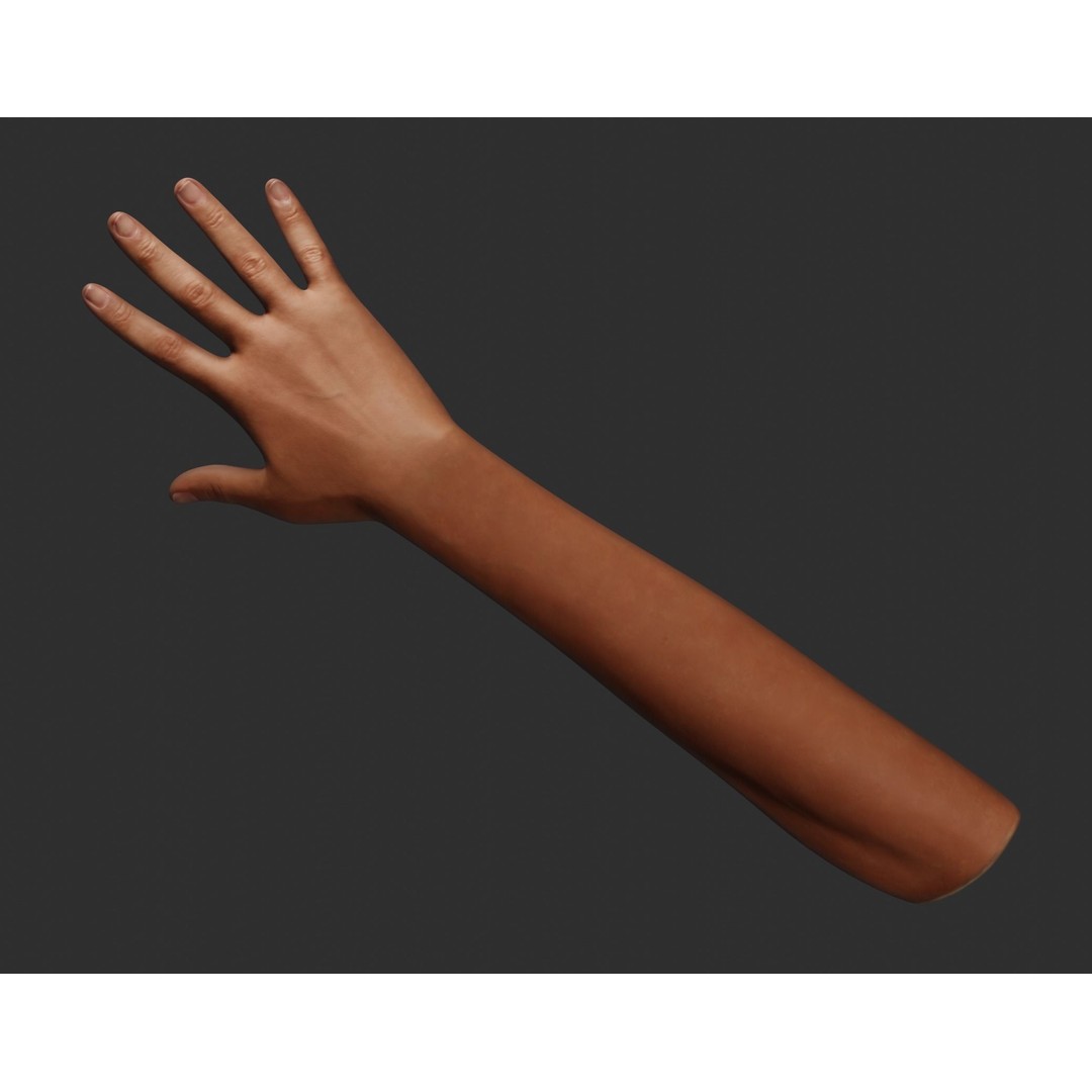 Female Right Hand 3D Model – Rigged Low-Poly Game Asset, Blender, FBX, OBJ - View 14
