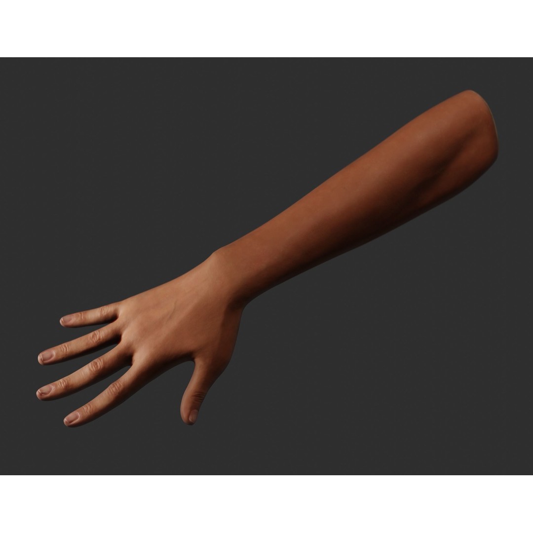 Female Right Hand 3D Model – Rigged Low-Poly Game Asset, Blender, FBX, OBJ - View 16