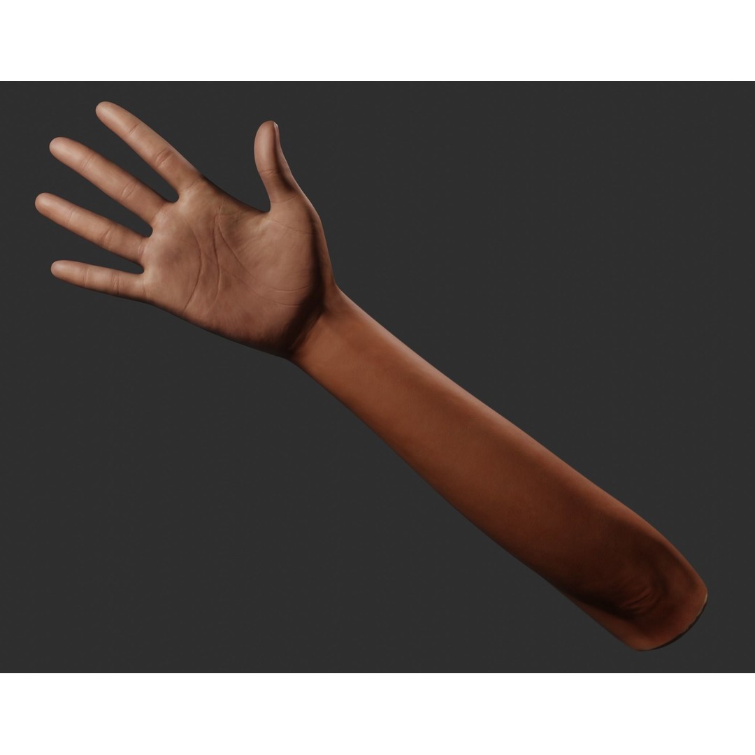 Female Right Hand 3D Model – Rigged Low-Poly Game Asset, Blender, FBX, OBJ - View 18