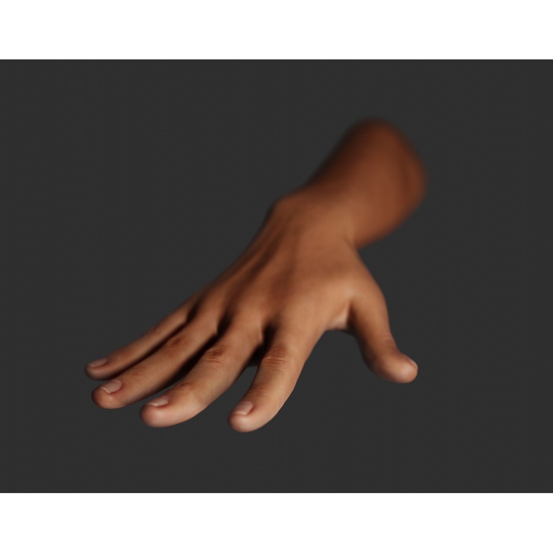Female Right Hand 3D Model – Rigged Low-Poly Game Asset, Blender, FBX, OBJ - View 19
