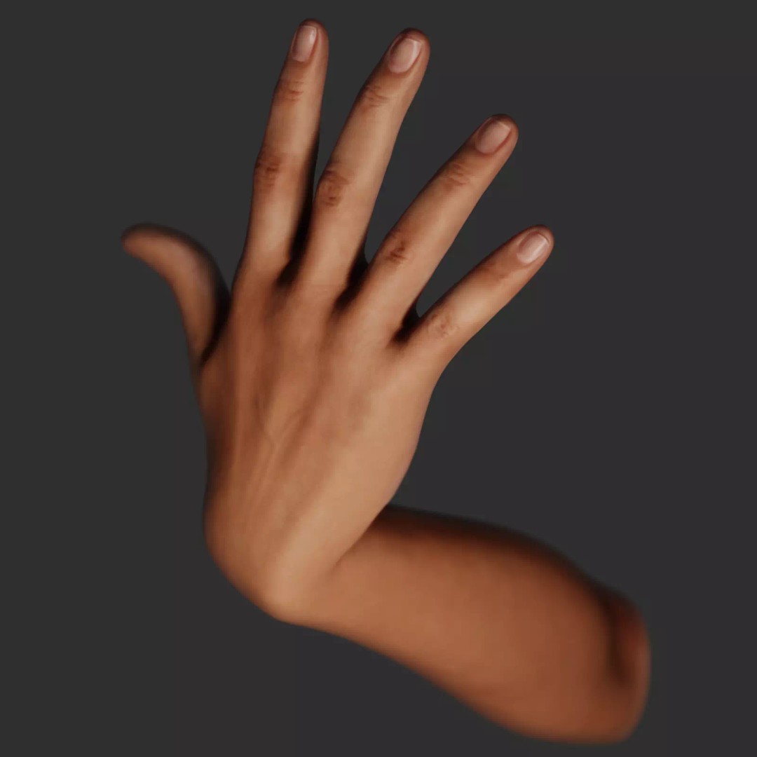 Female Right Hand 3D Model – Rigged Low-Poly Game Asset, Blender, FBX, OBJ - View 2