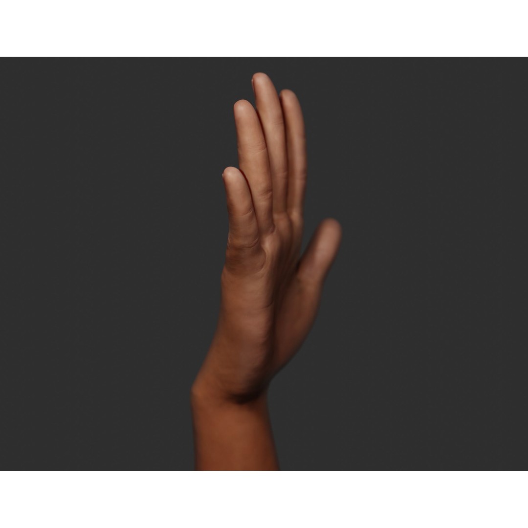 Female Right Hand 3D Model – Rigged Low-Poly Game Asset, Blender, FBX, OBJ - View 21