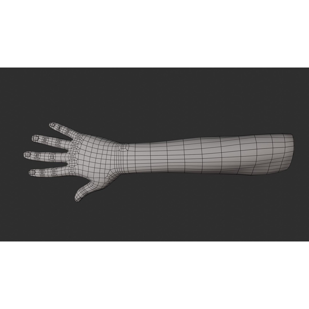 Female Right Hand 3D Model – Rigged Low-Poly Game Asset, Blender, FBX, OBJ - View 24