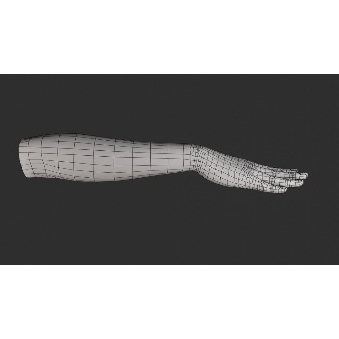 Female Right Hand 3D Model – Rigged Low-Poly Game Asset, Blender, FBX, OBJ - View 26