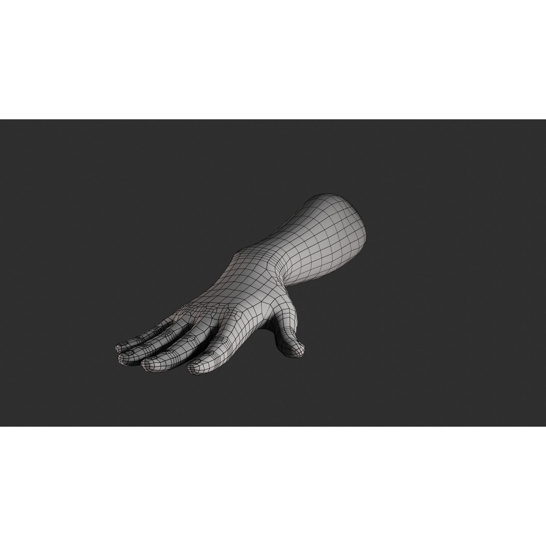 Female Right Hand 3D Model – Rigged Low-Poly Game Asset, Blender, FBX, OBJ - View 28