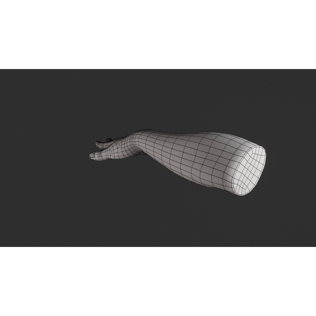 Female Right Hand 3D Model – Rigged Low-Poly Game Asset, Blender, FBX, OBJ - View 29