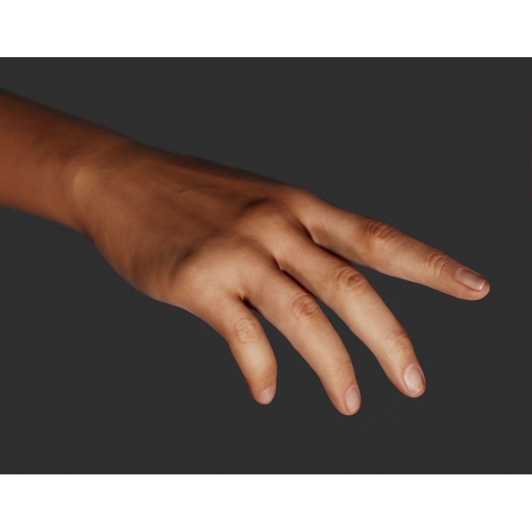 Female Right Hand 3D Model – Rigged Low-Poly Game Asset, Blender, FBX, OBJ - View 3