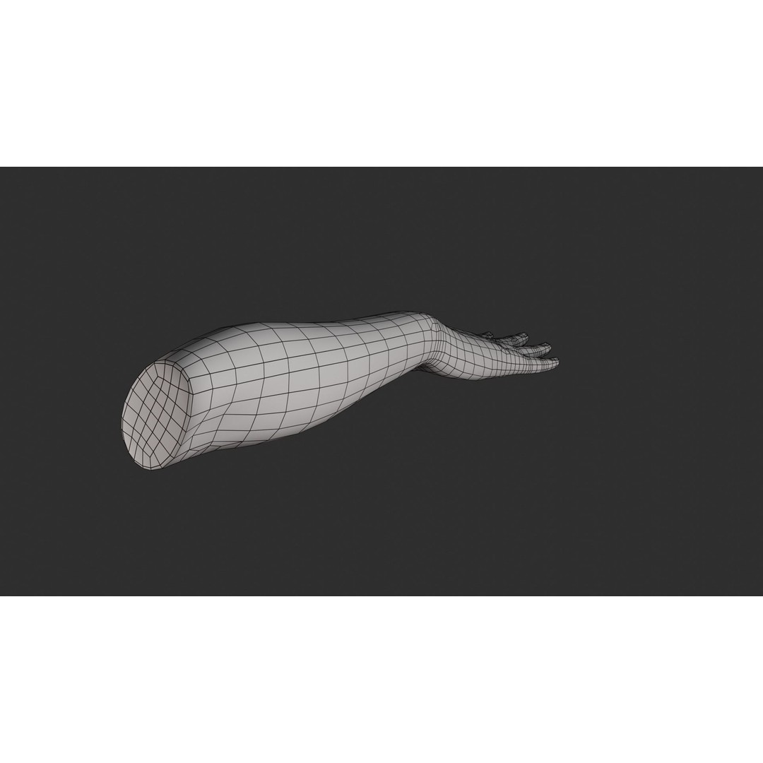 Female Right Hand 3D Model – Rigged Low-Poly Game Asset, Blender, FBX, OBJ - View 30