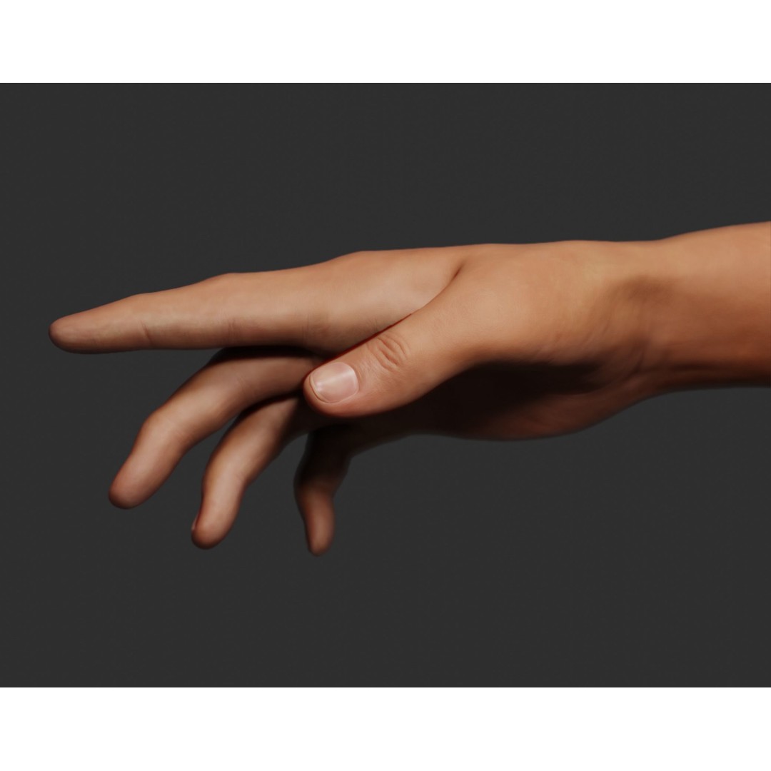 Female Right Hand 3D Model – Rigged Low-Poly Game Asset, Blender, FBX, OBJ - View 4